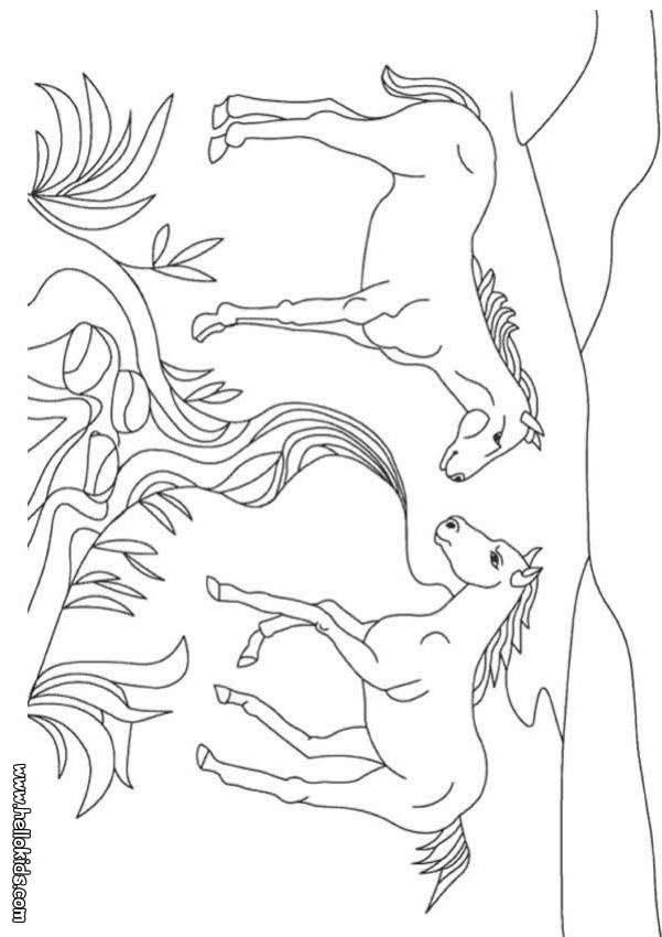 Horse coloring pages, Coloring pages, Horse coloring