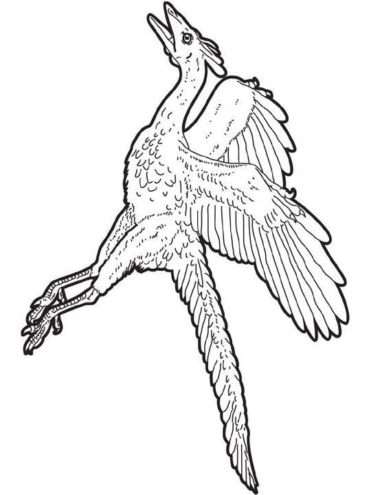 archaeopteryx zum ausmalen zum ausmalen  dehellokids