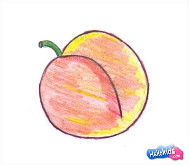 Wie man eine Aprikose malt