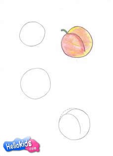 Wie man eine Aprikose malt