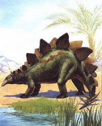 Wie man einen Stegosaurus malt