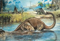 Wie man einen Diplodocus malt
