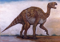 Wie man einen Iguanodon malt