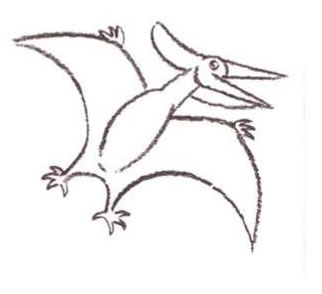 Wie man einen Pteranodon malt
