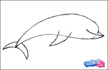 Wie man einen glücklichen Delphin malt