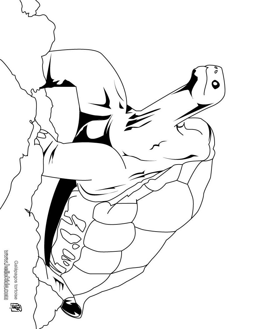 galapagos coloring pages - photo #13