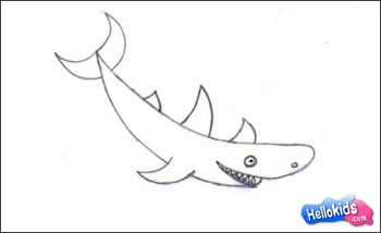Wie man einen Hai malt