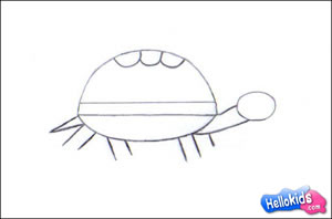 Wie man eine Schildkröte malt