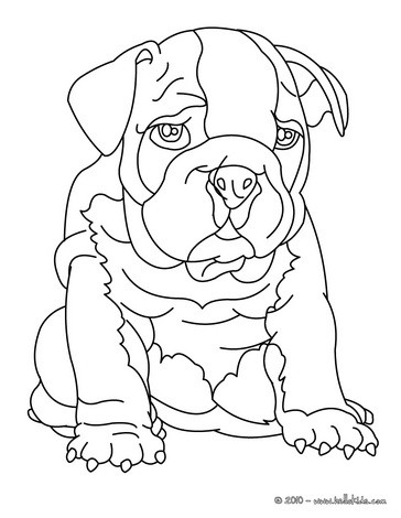 Bulldogge Zum Ausmalen Zum Ausmalen De Hellokids Com