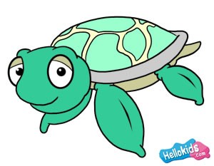 Wie man eine Meeresschildkröte malt