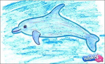 Wie man einen Delphin malt
