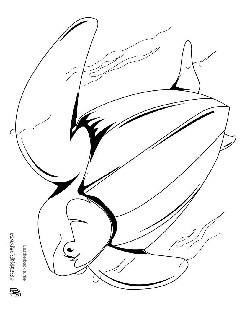 galapagos coloring pages turtle - photo #49
