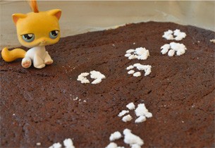 Kätzchen-Schokoladenkuchen