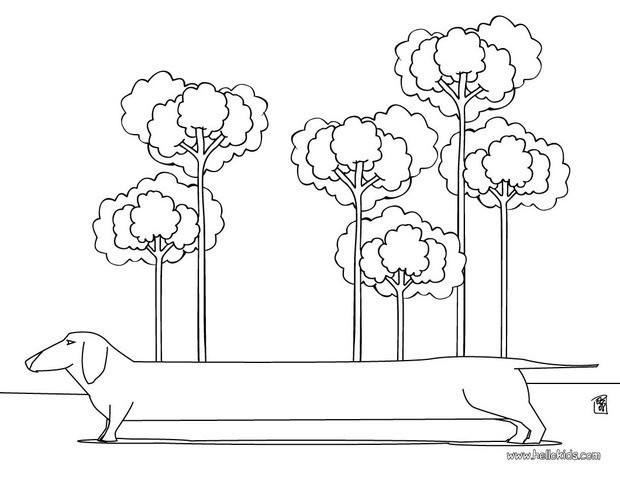 dachshunds coloring pages - photo #9