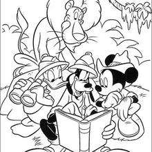 Safari with Goofy Goof - Coloring page - DISNEY coloring pages - Mickey Mouse coloring pages