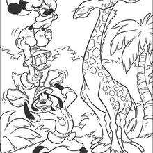 Micky Maus, Donald Duck, Goofy Goof und die Giraffe