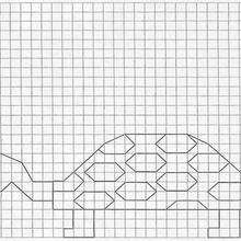 Turtle - Draw - HOW TO DRAW lessons - PATTERN of drawings