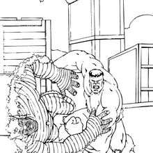 Hulk und Abomination