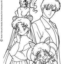 Sailor Moon, Sailor Chibi Moon und Co