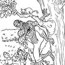 Spiderman rettet eine Katze