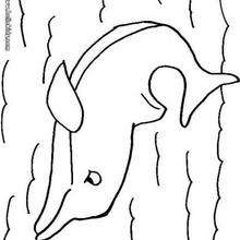 Schwimmender Delphin zum Ausmalen