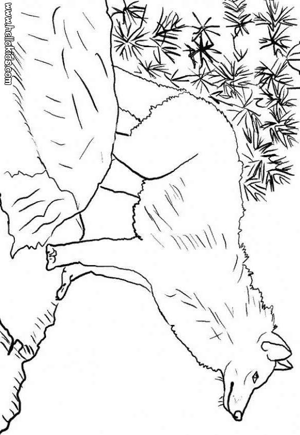 Kinder Wolf Coloring Pages 5