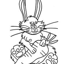 Rabbit with carrot coloring page - Coloring page - ANIMAL coloring pages - FARM ANIMAL coloring pages - RABBIT coloring pages