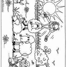 Sheeps and kids coloring page - Coloring page - ANIMAL coloring pages - FARM ANIMAL coloring pages - SHEEP coloring pages