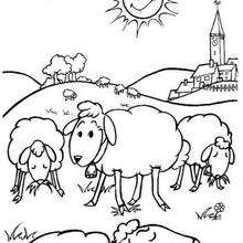 Sheep coloring page - Coloring page - ANIMAL coloring pages - FARM ANIMAL coloring pages - SHEEP coloring pages