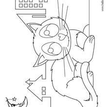 Cat with the moon coloring page - Coloring page - ANIMAL coloring pages - PET coloring pages - CAT coloring pages - CATS coloring pages