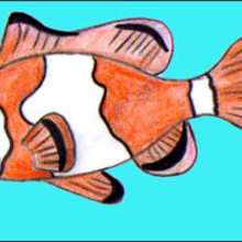 How to draw a Clownfish - Draw - HOW TO DRAW lessons - How to draw ANIMALS - How to draw SEA ANIMALS