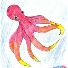 How to draw an octopus - Draw - HOW TO DRAW lessons - How to draw ANIMALS - How to draw SEA ANIMALS