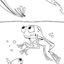 Schwimmender Frosch zum Ausmalen