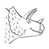 Wie man einen Triceratops malt