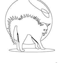 Halloween cat coloring page - Coloring page - HOLIDAY coloring pages - HALLOWEEN coloring pages - BLACK CAT coloring pages