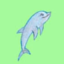 How to draw a happy dolphin - Draw - HOW TO DRAW lessons - How to draw ANIMALS - How to draw SEA ANIMALS