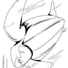 Leatherback turtle coloring page - Coloring page - ANIMAL coloring pages - REPTILE coloring pages - TURTLE coloring pages - LEATHERBACK TURTLE coloring pages