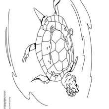 Schwimmende Rotwangen-Schmuckschildkröte zum Ausmalen