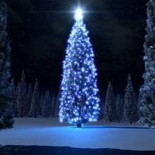Christmas blue tree wallpaper - Draw - WALLPAPERS - CHRISTMAS Wallpapers - CHRISTMAS TREE wallpapers