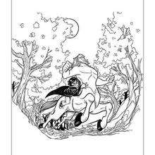Harry Potter with centaur coloring page - Coloring page - MOVIE coloring pages - HARRY POTTER coloring pages - Free HARRY POTTER coloring pages