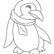 Penguin to color in - Coloring page - ANIMAL coloring pages - BIRD coloring pages - PENGUIN coloring pages