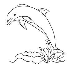Delphin zum Ausdrucken