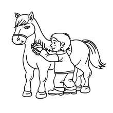 Junge putzt sein Pferd zum Ausmalen