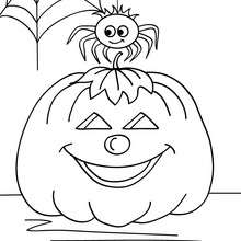 Spider web and pumpkin coloring page - Coloring page - HOLIDAY coloring pages - HALLOWEEN coloring pages - HALLOWEEN SPIDER coloring pages