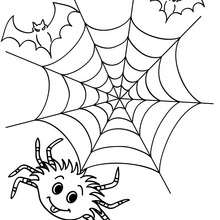 Spinne, Spinnennetz und Fledermäuse zum Ausmalen