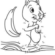 Squirrel dot to dot game - Free Kids Games - CONNECT THE DOTS games - ANIMALS dot to dot