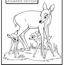 Bambi mit seiner Mutter zum Ausmalen
