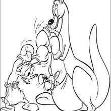 Donald Duck boxt mit einem Känguru
