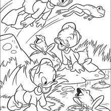 Donald Ducks Neffen mit Fröschen