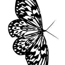 Schöner Schmetterling zum Ausmalen